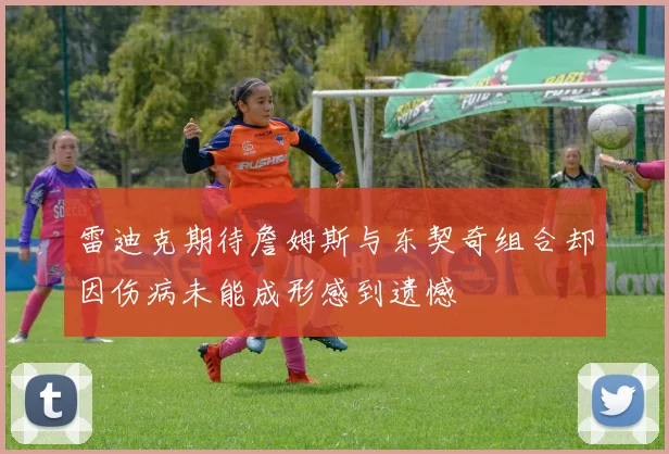 雷迪克期待詹姆斯与东契奇组合却因伤病未能成形感到遗憾